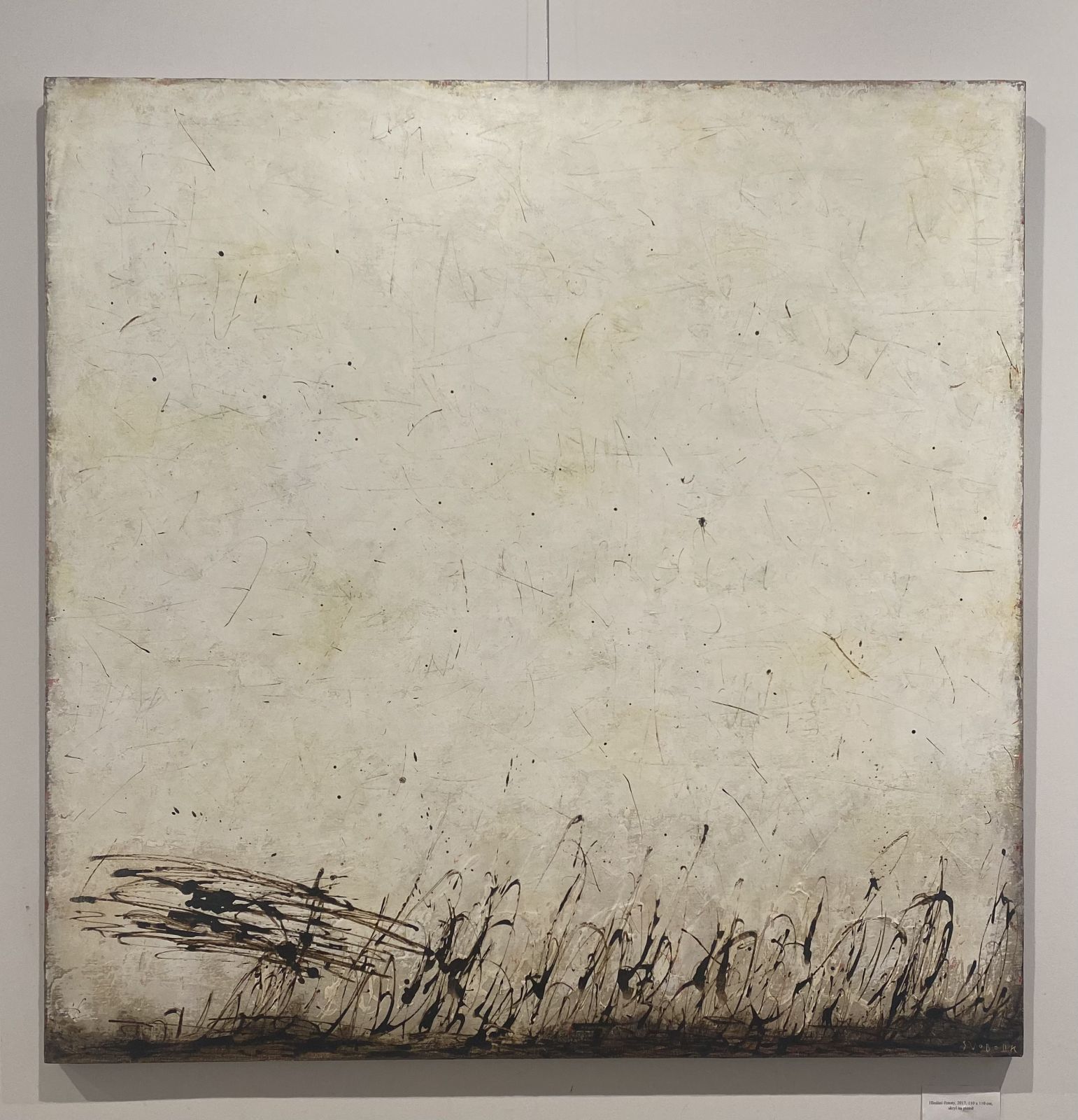 Hledání čistoty, 2017, 110 x 110 cm, akryl na plátně